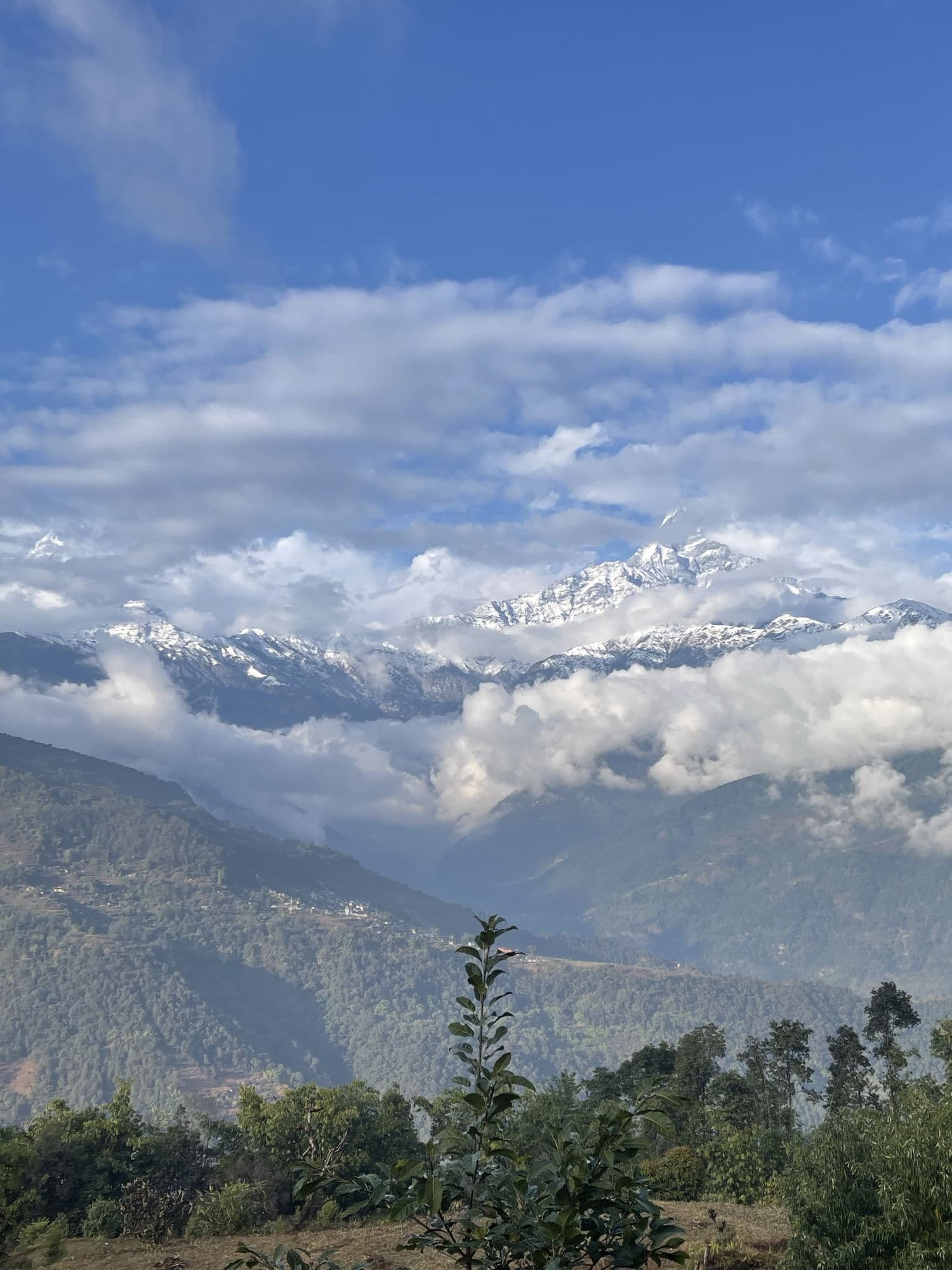 Snow peaks of the Annapurna range rising through a bank of cloud above forested ridges.