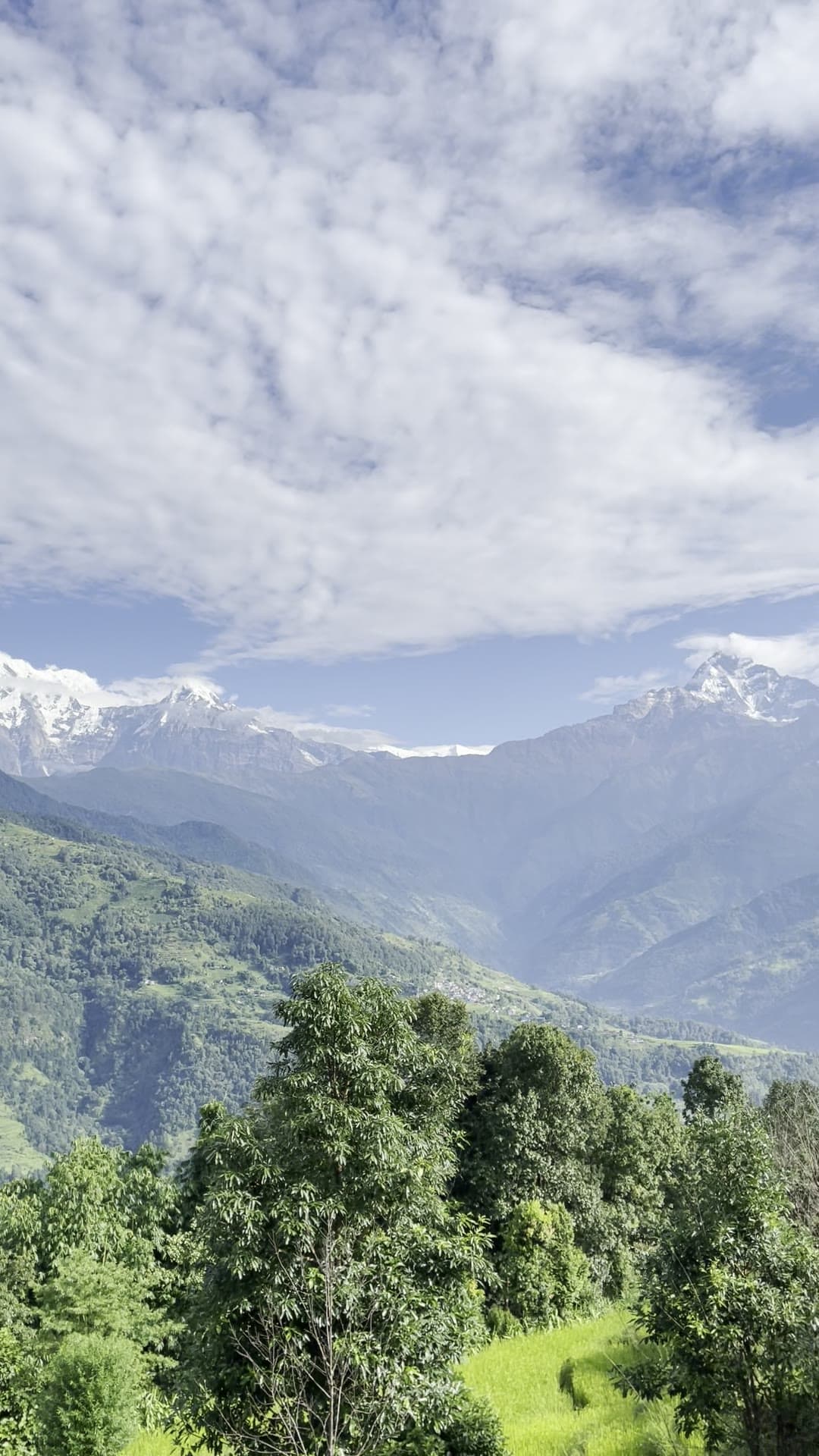 The Fishtail peak framed by trees under a wide sky of high cloud.