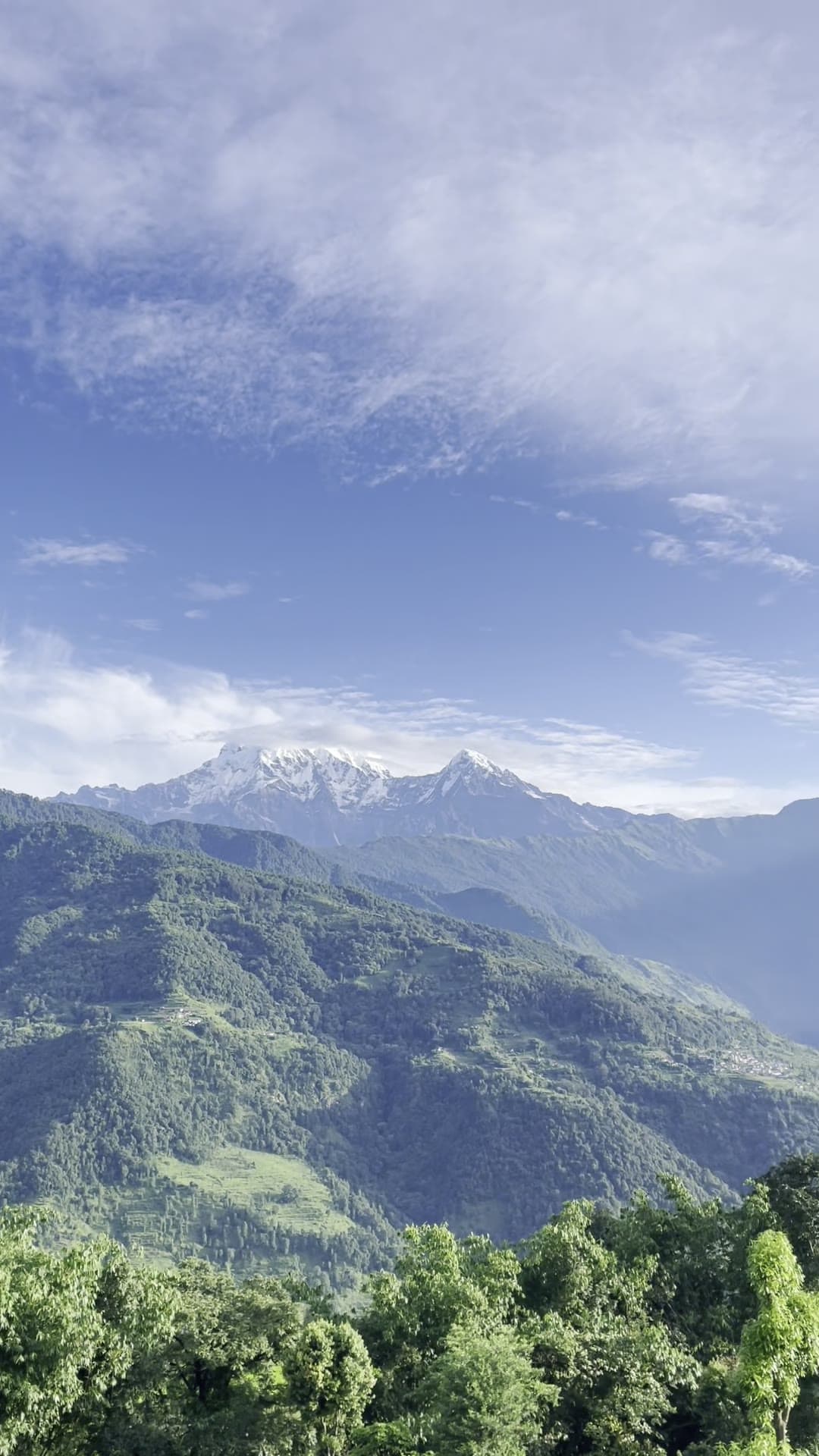Machhapuchhre and the Annapurna ridge on a clear morning, seen across wooded hills.