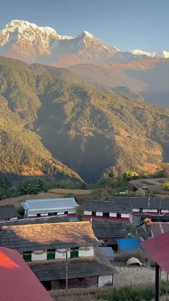 Sunrise light on the Annapurna peaks above the tin and slate roofs of the village.