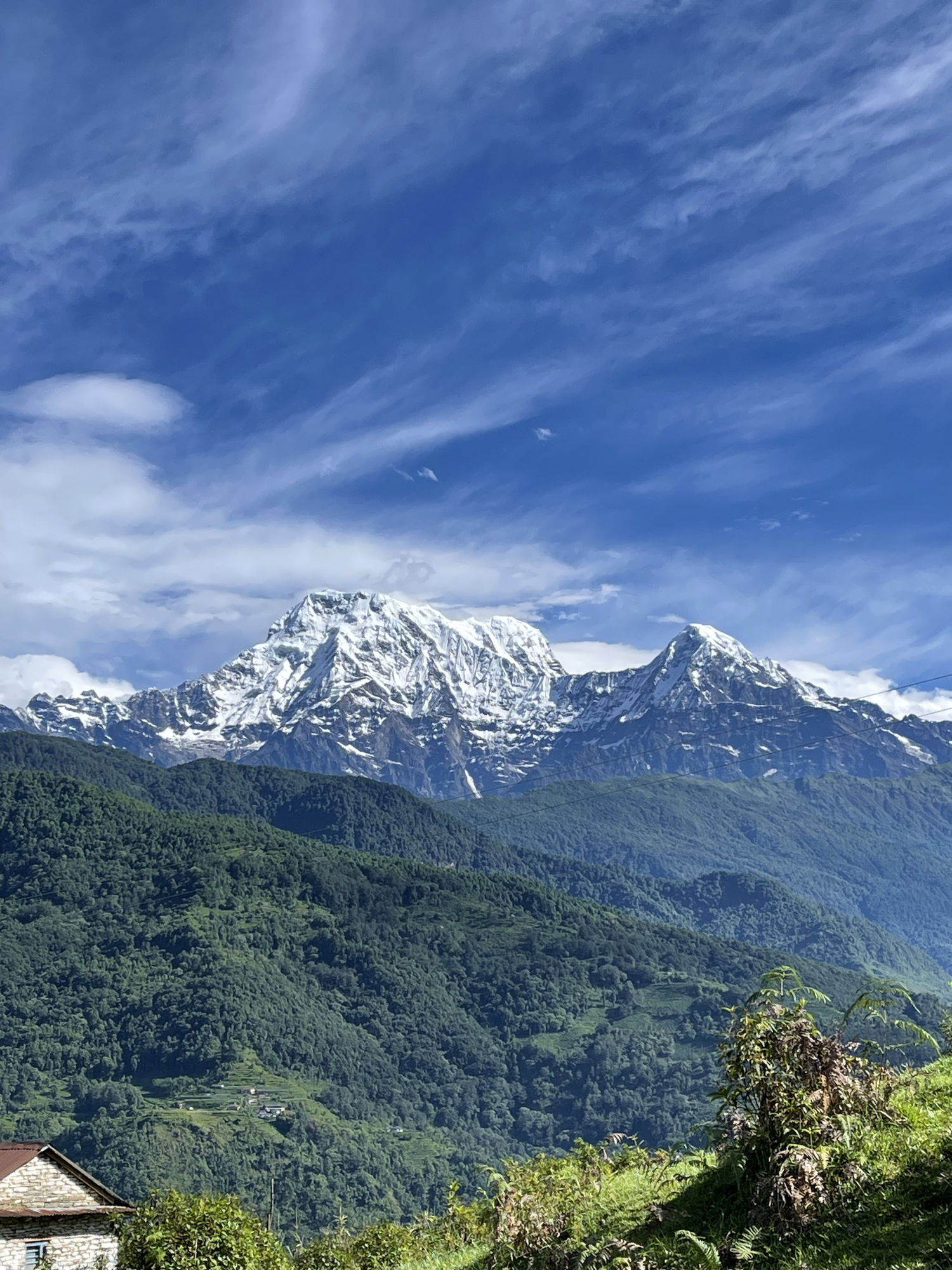 Annapurna South under a clear blue sky, with green forested hills falling away below.