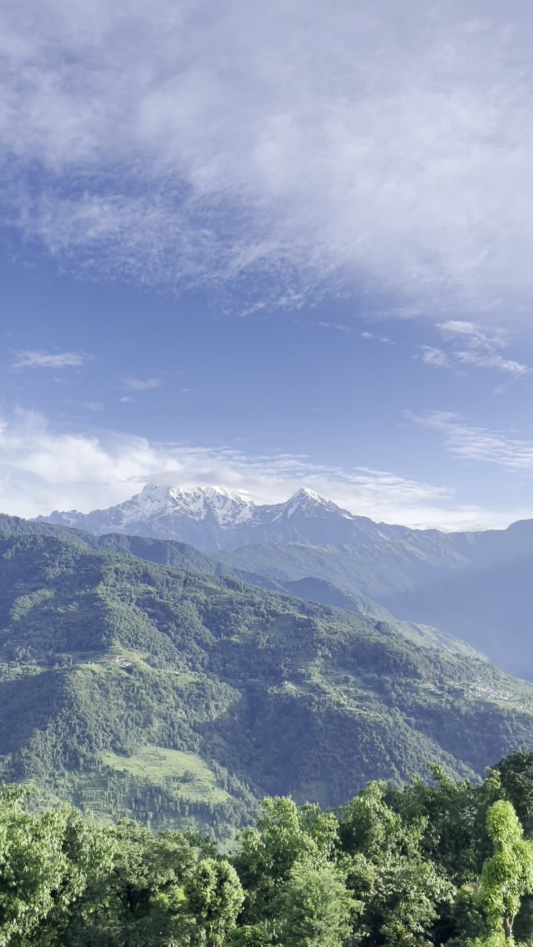 Machhapuchhre and the Annapurna ridge on a clear morning, seen across wooded hills.