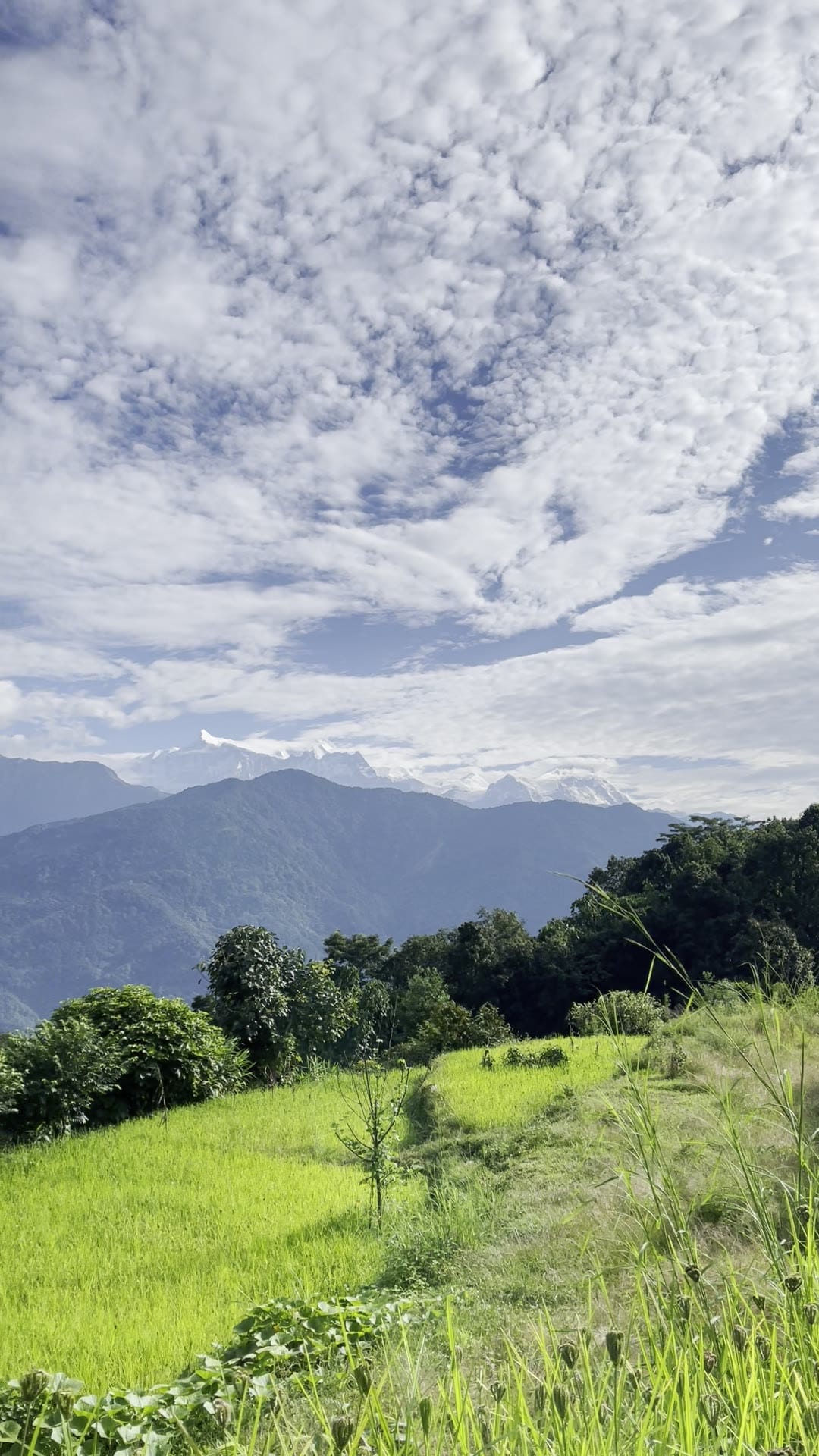 Green terraced fields below a mackerel sky, distant peaks along the horizon.